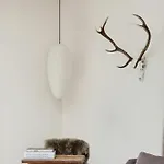 Architect Designed With Two Wings By Hegn Сasa de vacaciones